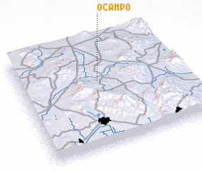 3d view of Ocampo