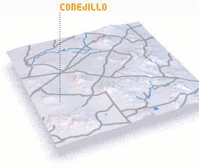 3d view of Conejillo