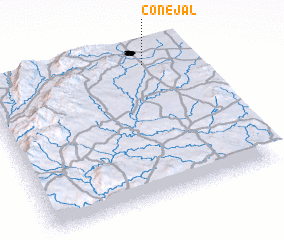 3d view of Conejal