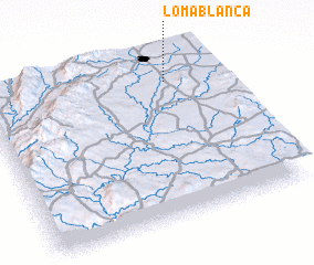 3d view of Loma Blanca