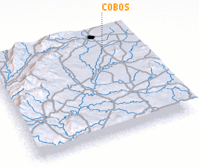 3d view of Cobos