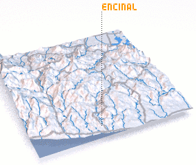 3d view of Encinal