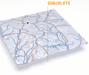 3d view of Guajolote