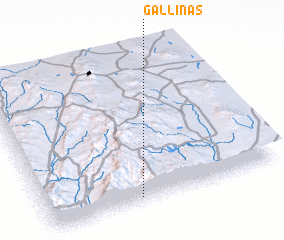 3d view of Gallinas