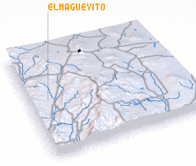 3d view of El Magueyito