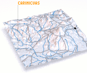 3d view of Carimicuas