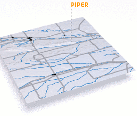 3d view of Piper
