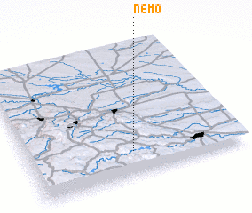 3d view of Nemo