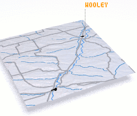 3d view of Wooley