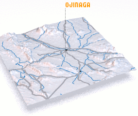 3d view of Ojinaga