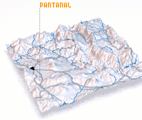 3d view of Pantanal