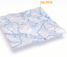 3d view of Salpica