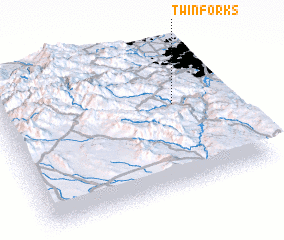 3d view of Twin Forks