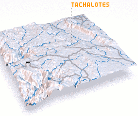 3d view of Tachalotes