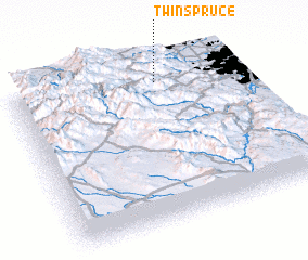 3d view of Twin Spruce