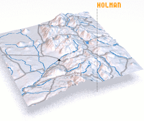 3d view of Holman