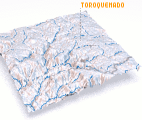 3d view of Toro Quemado