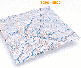 3d view of Tarahumar