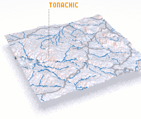 3d view of Tónachic