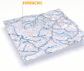 3d view of Roneachic