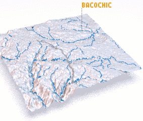 3d view of Bacóchic