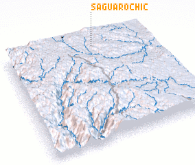 3d view of Saguarochic