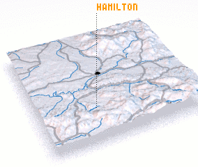 3d view of Hamilton