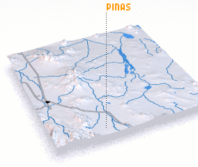 3d view of Piñas