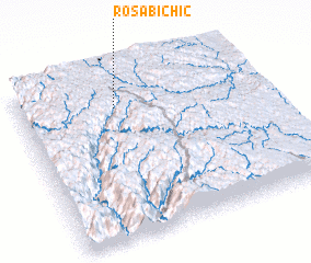 3d view of Rosabichic