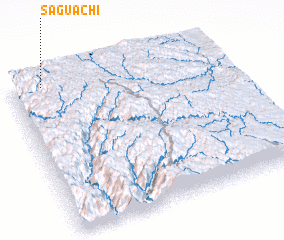 3d view of Saguachi