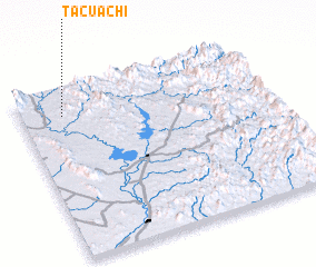 3d view of Tacuachi