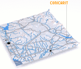 3d view of Conicarit