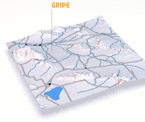 3d view of Gripe