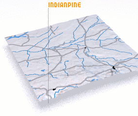 3d view of Indian Pine