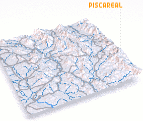 3d view of Pisca Real