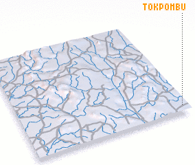 3d view of Tokpombu