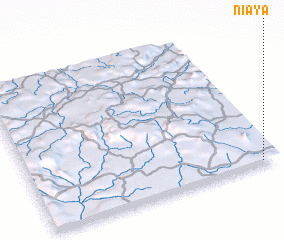 3d view of Niaya