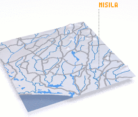 3d view of Misila