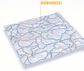 3d view of Niéborassi