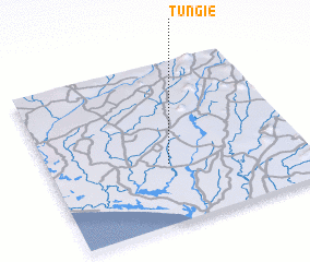 3d view of Tungie