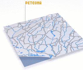 3d view of Peteoma