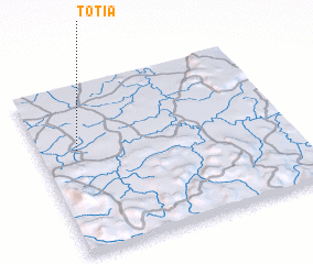 3d view of Totia