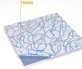 3d view of Tungie