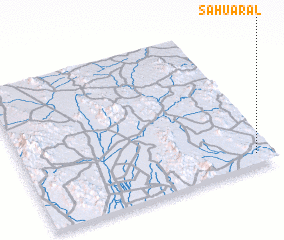 3d view of Sahuaral