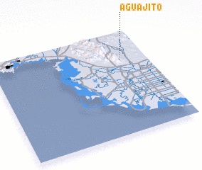 3d view of Aguajito