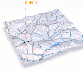 3d view of Burch