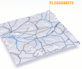 3d view of El Saguarito