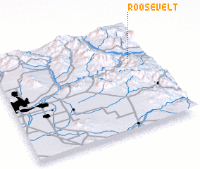 3d view of Roosevelt