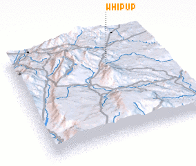 3d view of Whipup