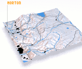 3d view of Morton